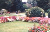 p4 in landscaping